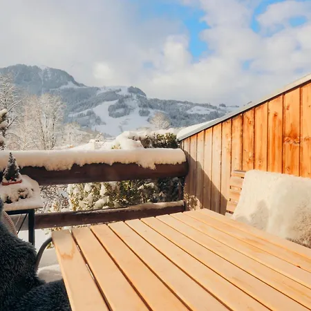 Daire Aschbach - Streifblick Kitzbühel